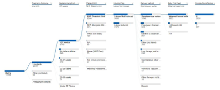 Interactive birth pathway analysis screen. 
This interactive pathway shows  the number of births and the pregnancy outcomes.